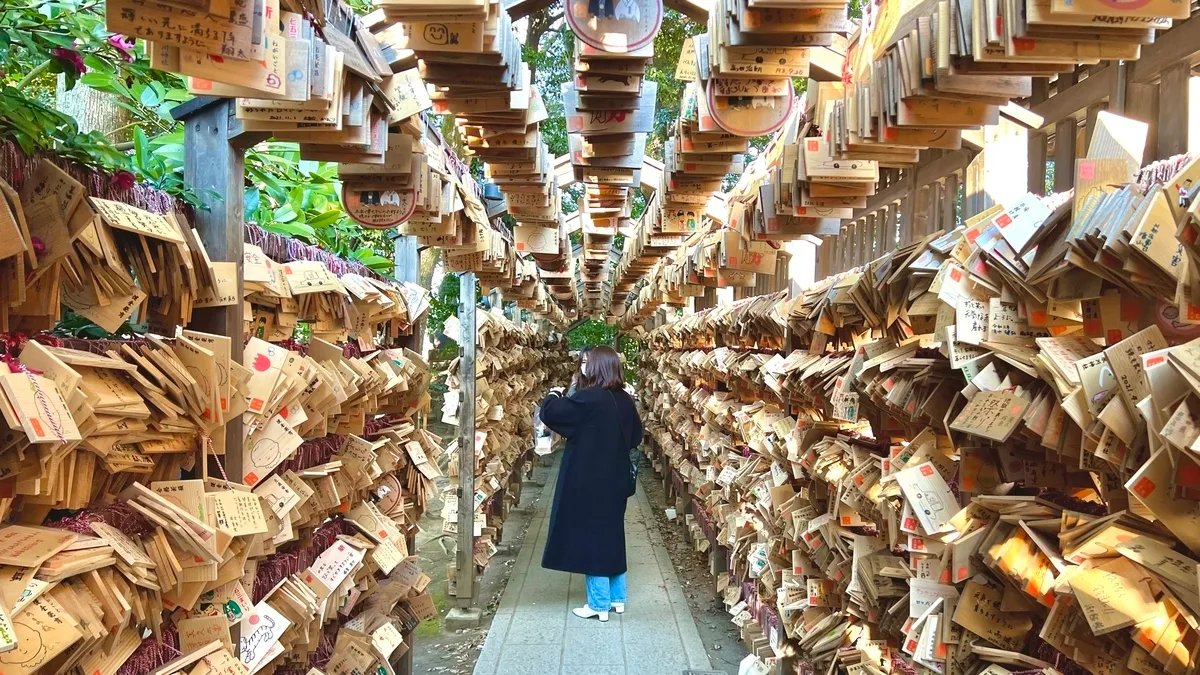 ⛩️ 가와고에 히카와 신사 (가와고에 히카와 진자) 이미지 3